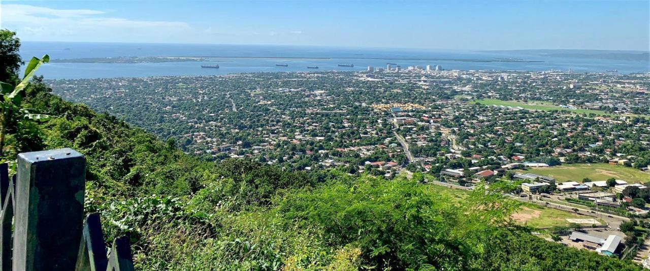Вилла Bella Vista Кингстон Экстерьер фото
